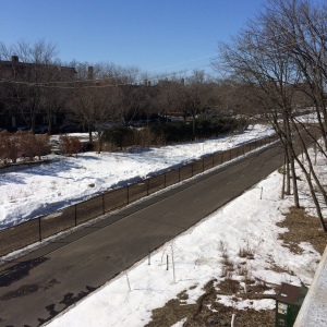 My Greenway path that misses me walking on it because the polar vortex hates outside walkers.